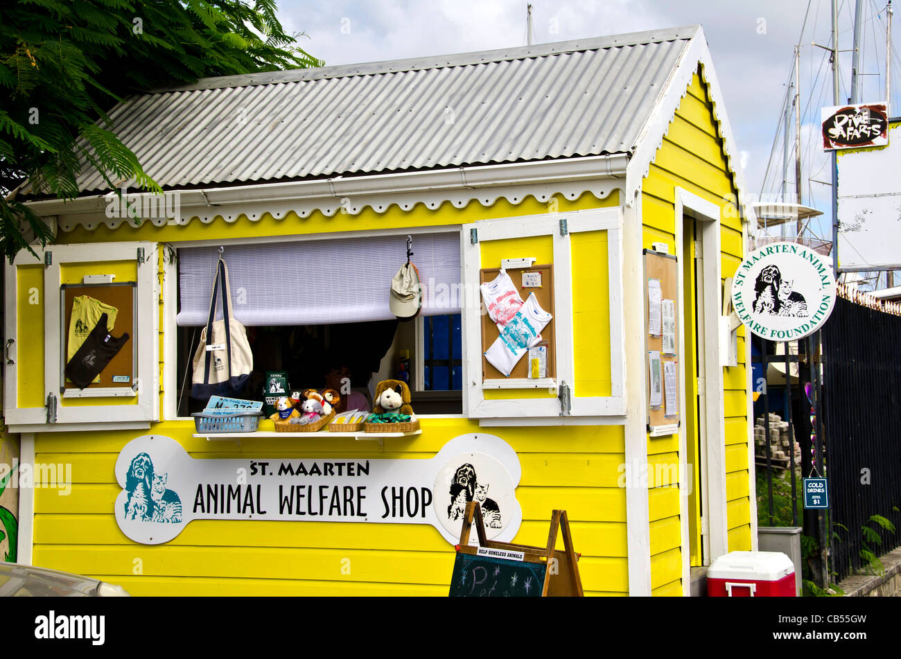 St Maarten Philipsburg front street animal welfare shop Stock Photo