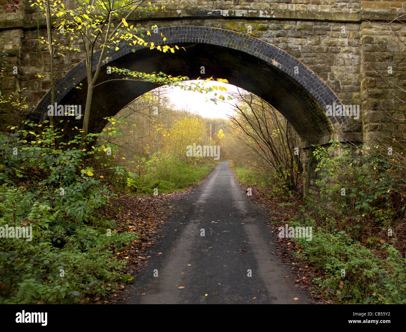 Old railway track now walkway, Wyre Forest, Worcestershire, November 2011 Stock Photo