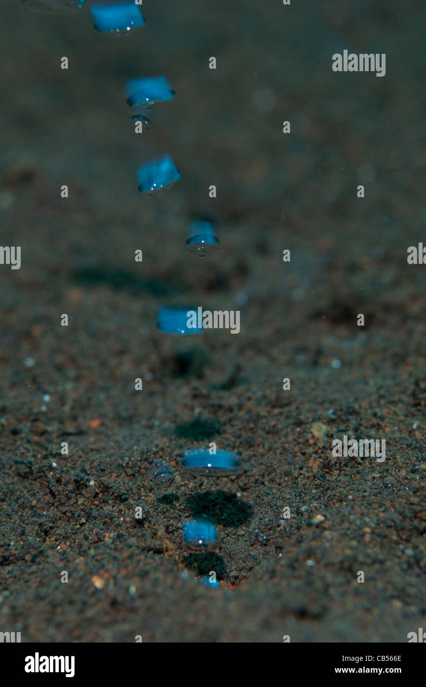 Magma bubbles hires stock photography and images Alamy