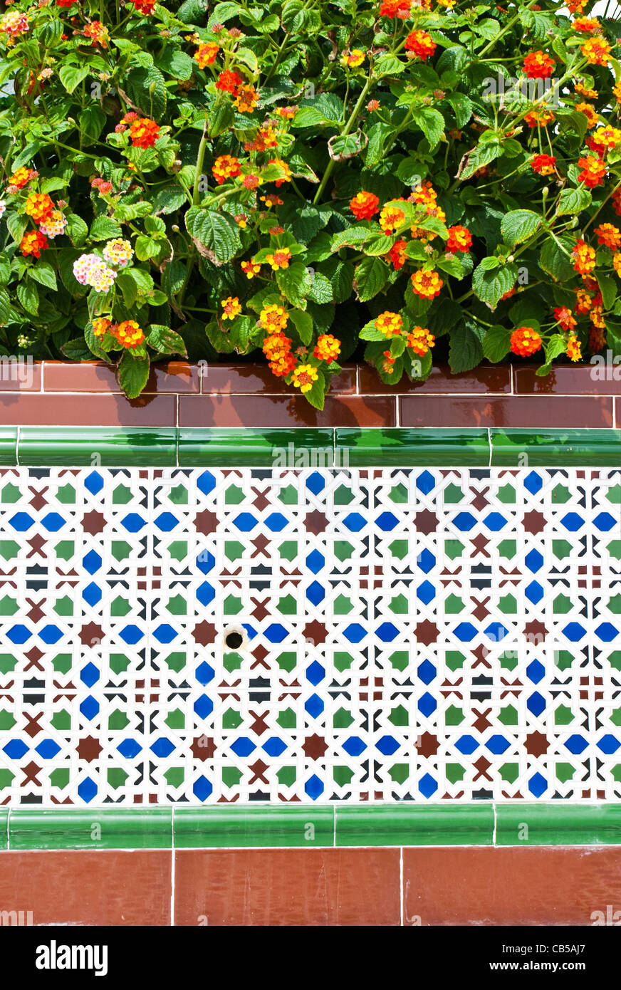 Decorated tiles and flowers in Rota, Andalucia, Spain Stock Photo - Alamy