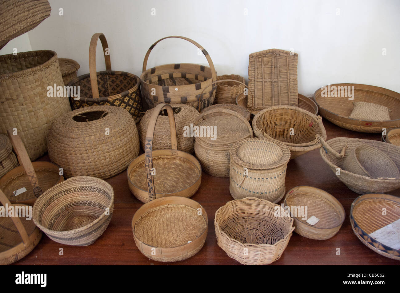 Africa, Mozambique. Capital city of Maputo, Museum of Natural History
