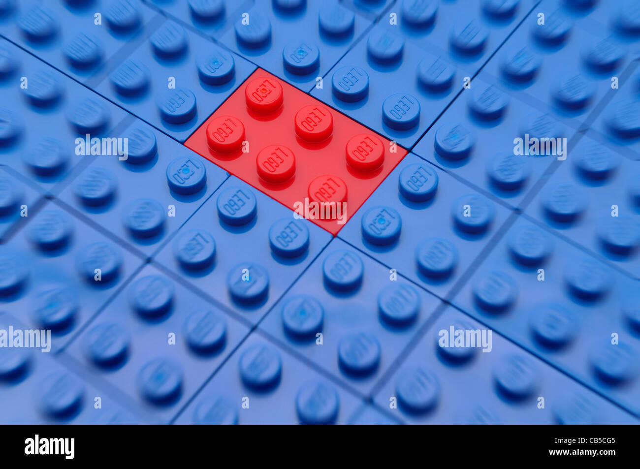 A single red toy building brick stands out among blue building bricks. Stock Photo