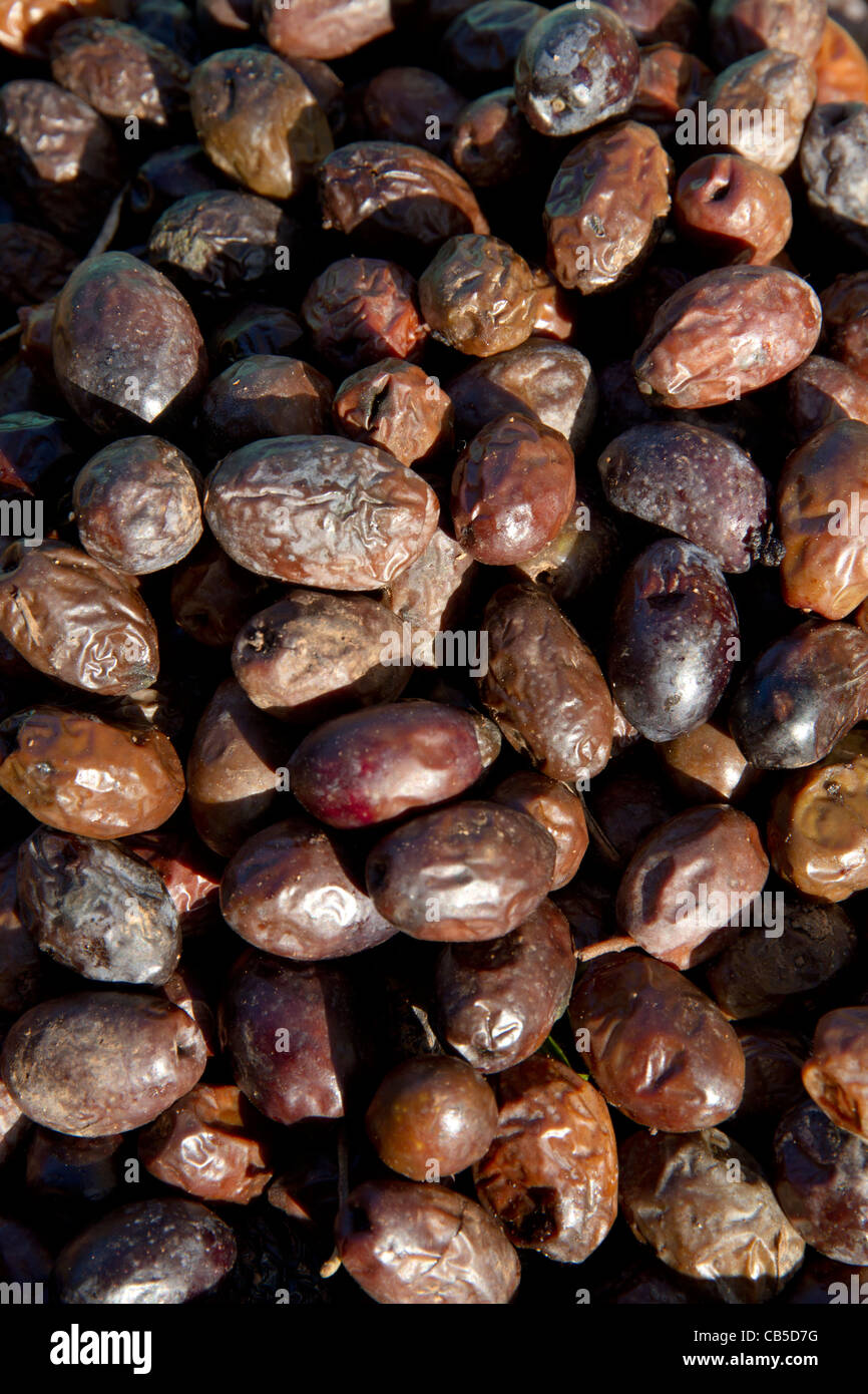 Typical of mallorca hires stock photography and images Alamy