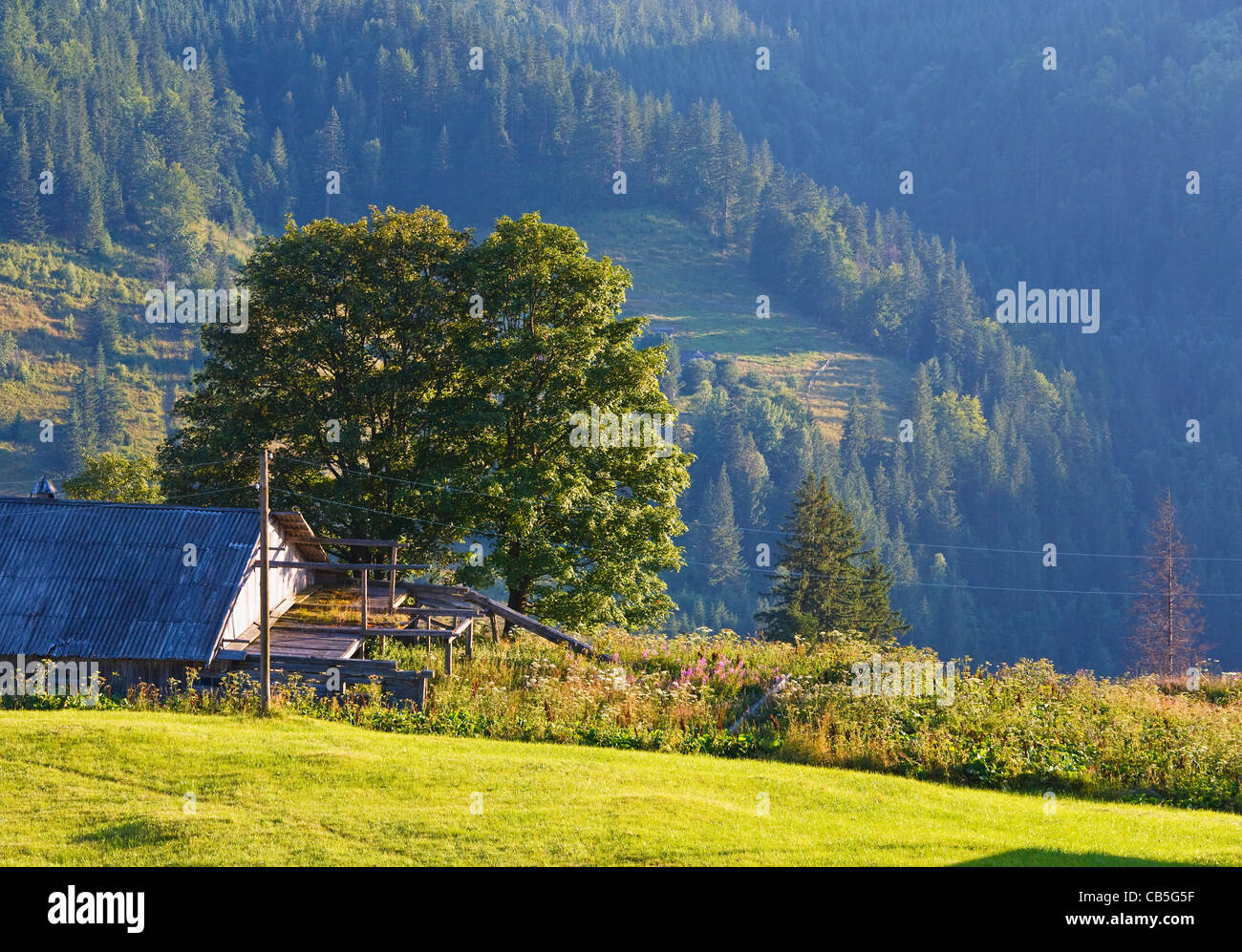 Summer mountain village landscape with shed on hill slope Stock Photo