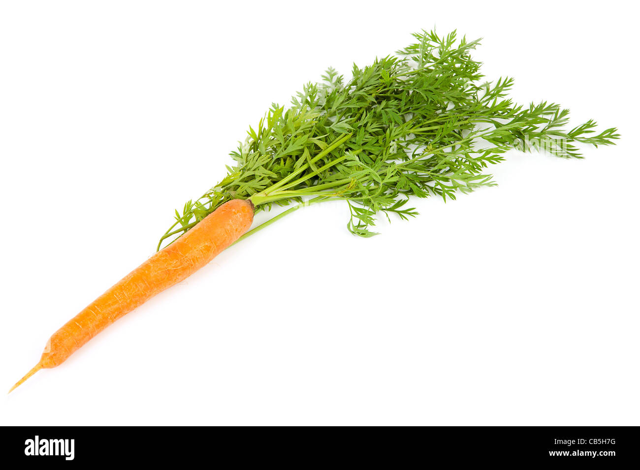 One fresh carrot with leaf over white background Stock Photo Alamy