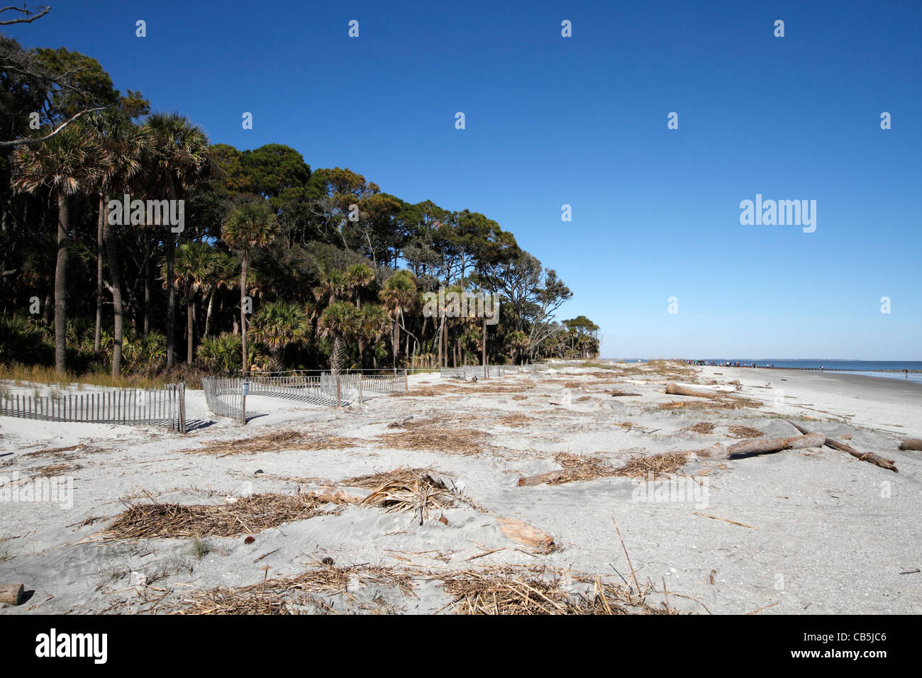 Beach at Hunting Island State Park in Beaufort, South Carolina Stock