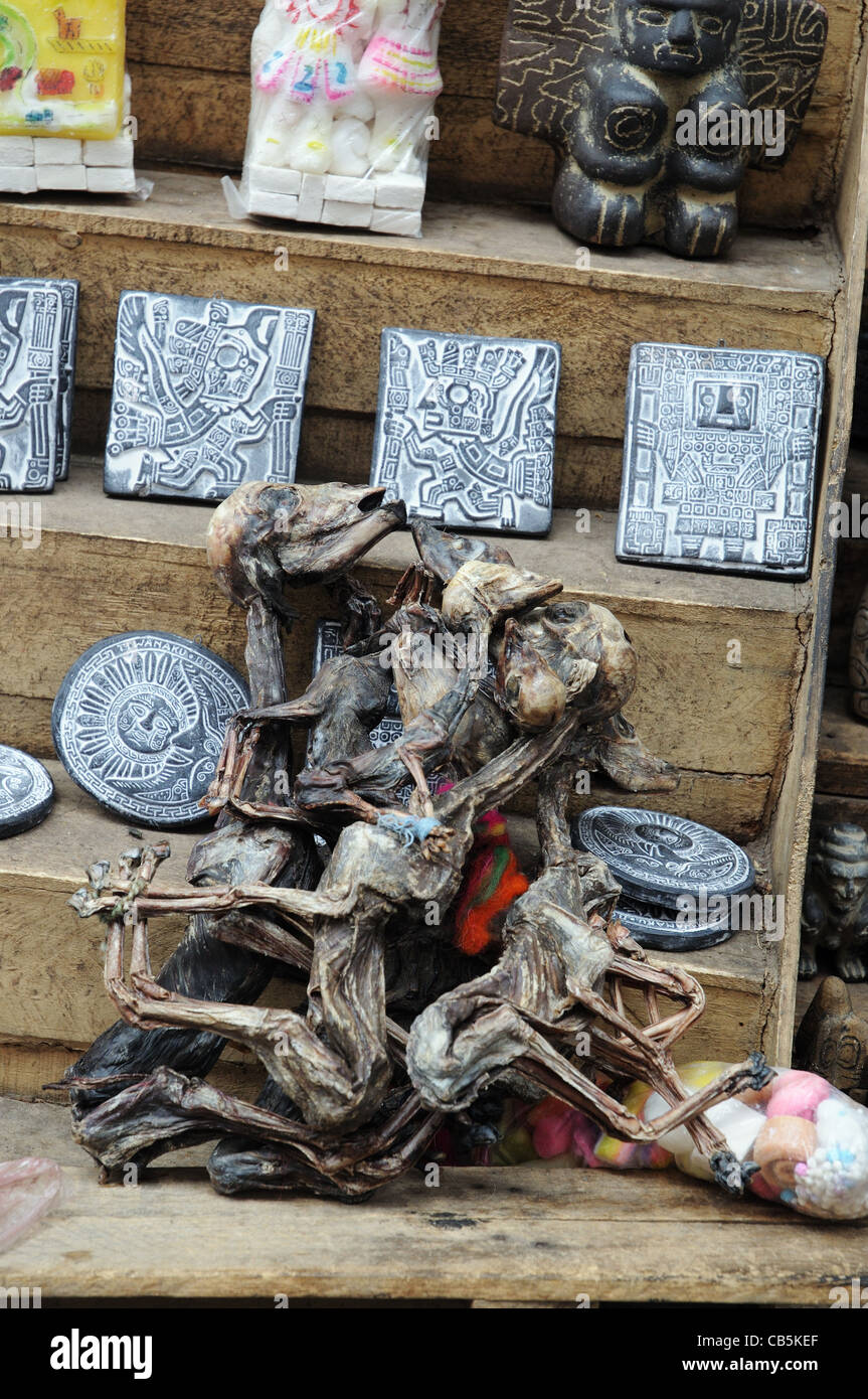 Dead Llame foetus for sale in The Witches Market, La Paz, Bolivia Stock Photo