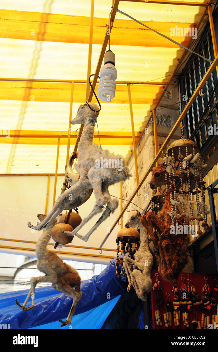 Dead Llame foetus for sale in The Witches Market, La Paz, Bolivia Stock Photo