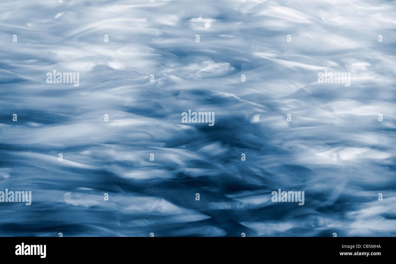 Fish in aquarium Stock Photo