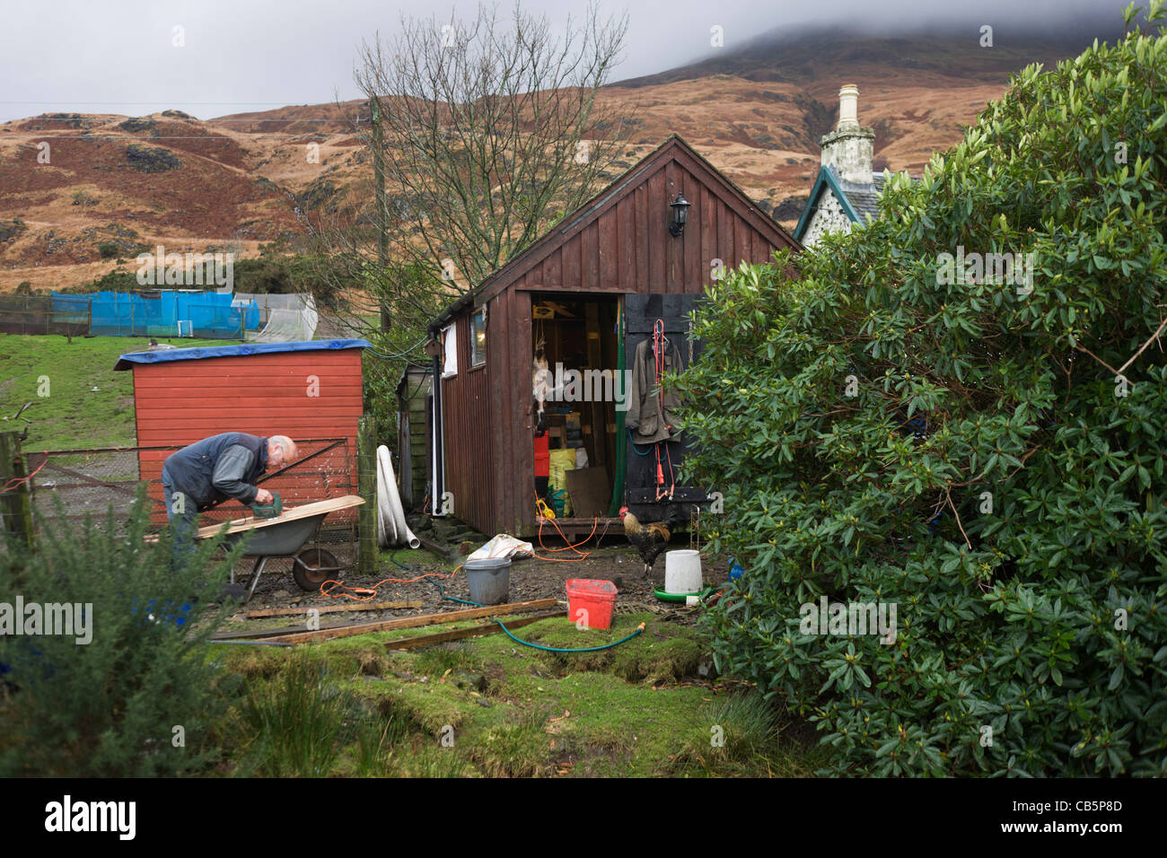 Father-in-law working at Sarah Leggitt's estate cottage, a former Smithy with livestock at Lochbuie, Isle of Mull, Scotland. Stock Photo