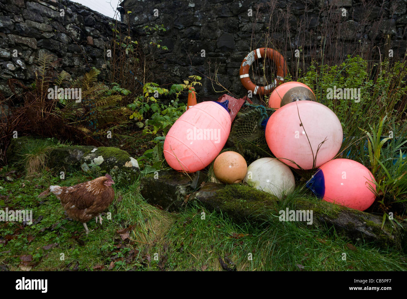 Hen and fishing boat equipment at the Old Smithy, Pennyghael, Isle of Mull, Scotland. Stock Photo