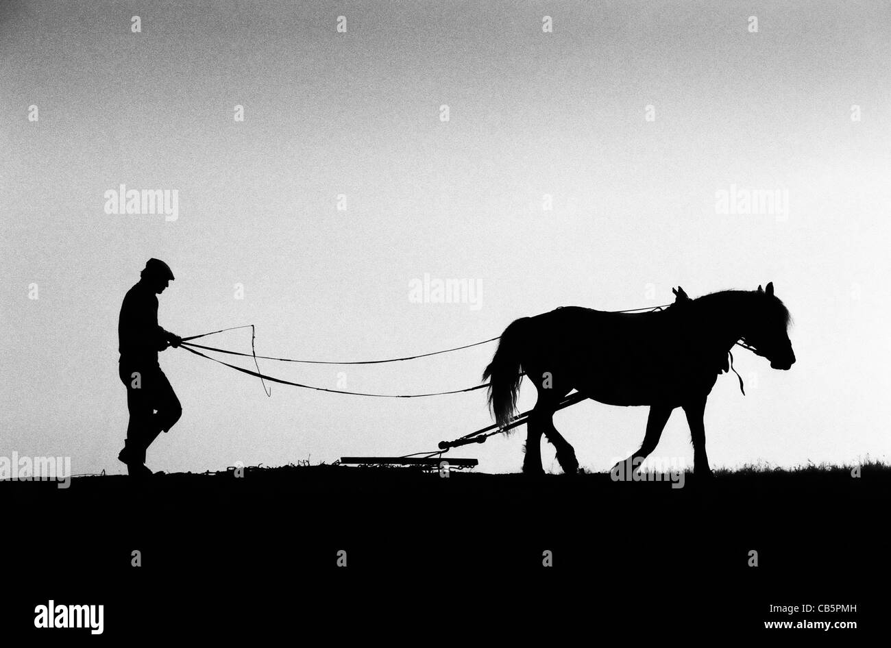 Hungary. Farmer wearing a cap driving his horse drawing a chain harrow in silhouette against a back light. Stock Photo