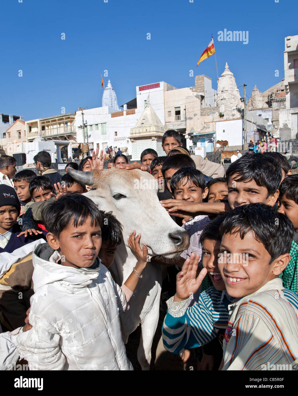 Indian boys with holy cow. Dwarka. Gujarat. India Stock Photo