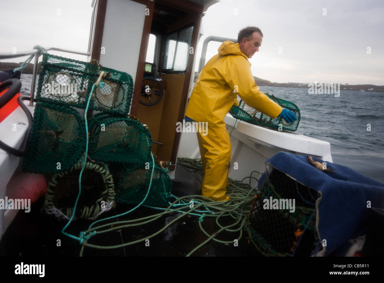 Local fisherman Neil Cameron sorts creels filled with Velvet and Green Crab between Fionnphort and Iona, Isle of Mull. Stock Photo