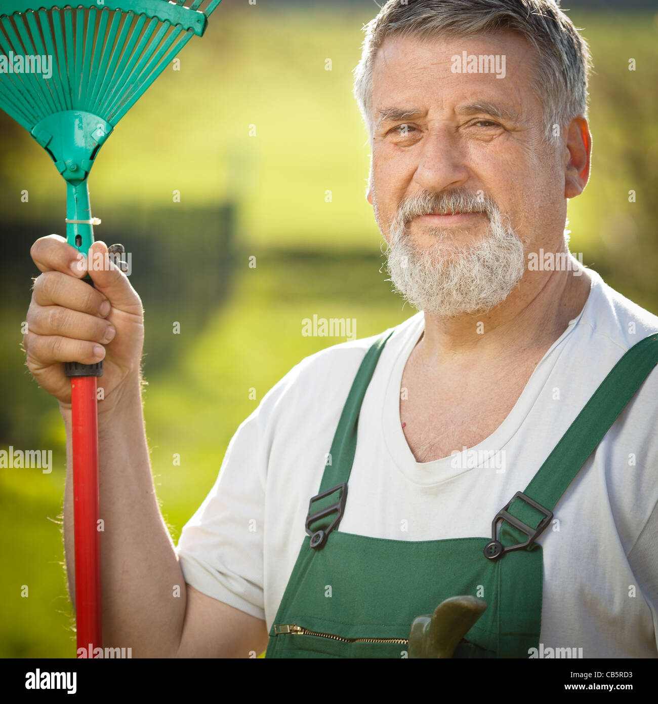 portrait of a senior man gardening in his garden (color toned image ...