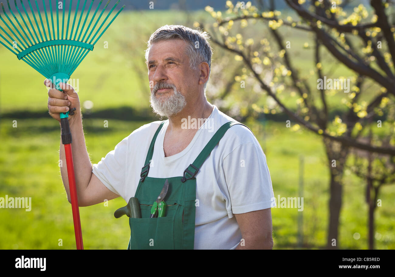 portrait of a senior man gardening in his garden (color toned image ...