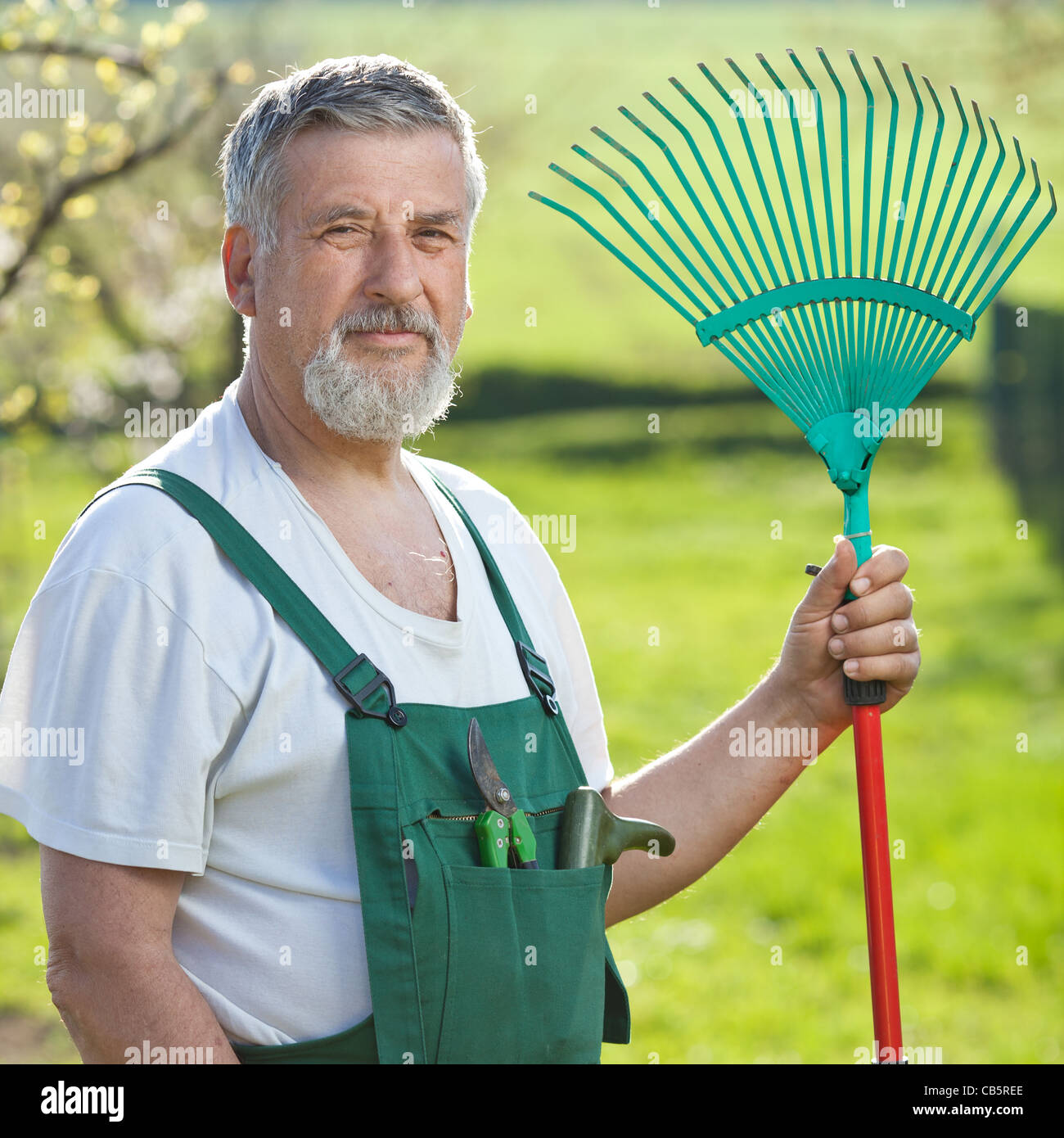 portrait of a senior man gardening in his garden (color toned image ...