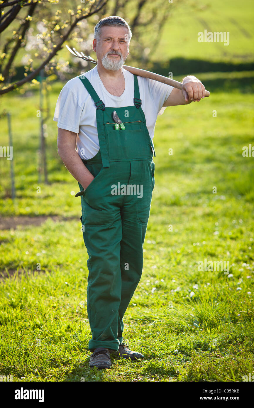 portrait of a senior man gardening in his garden (color toned image ...