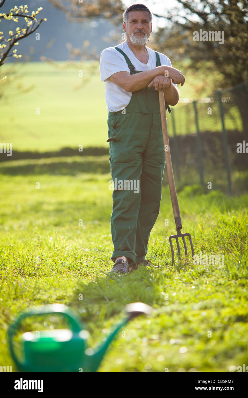 portrait of a senior man gardening in his garden (color toned image ...