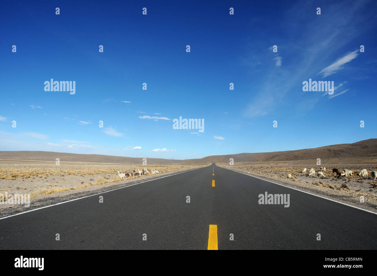 A road crossing the Andean Altiplano in Peru Stock Photo