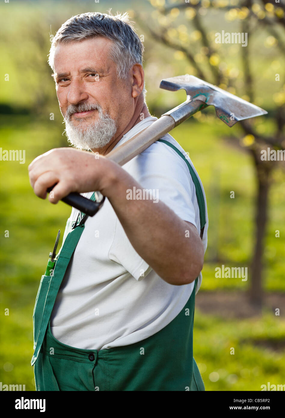 portrait of a senior man gardening in his garden (color toned image ...