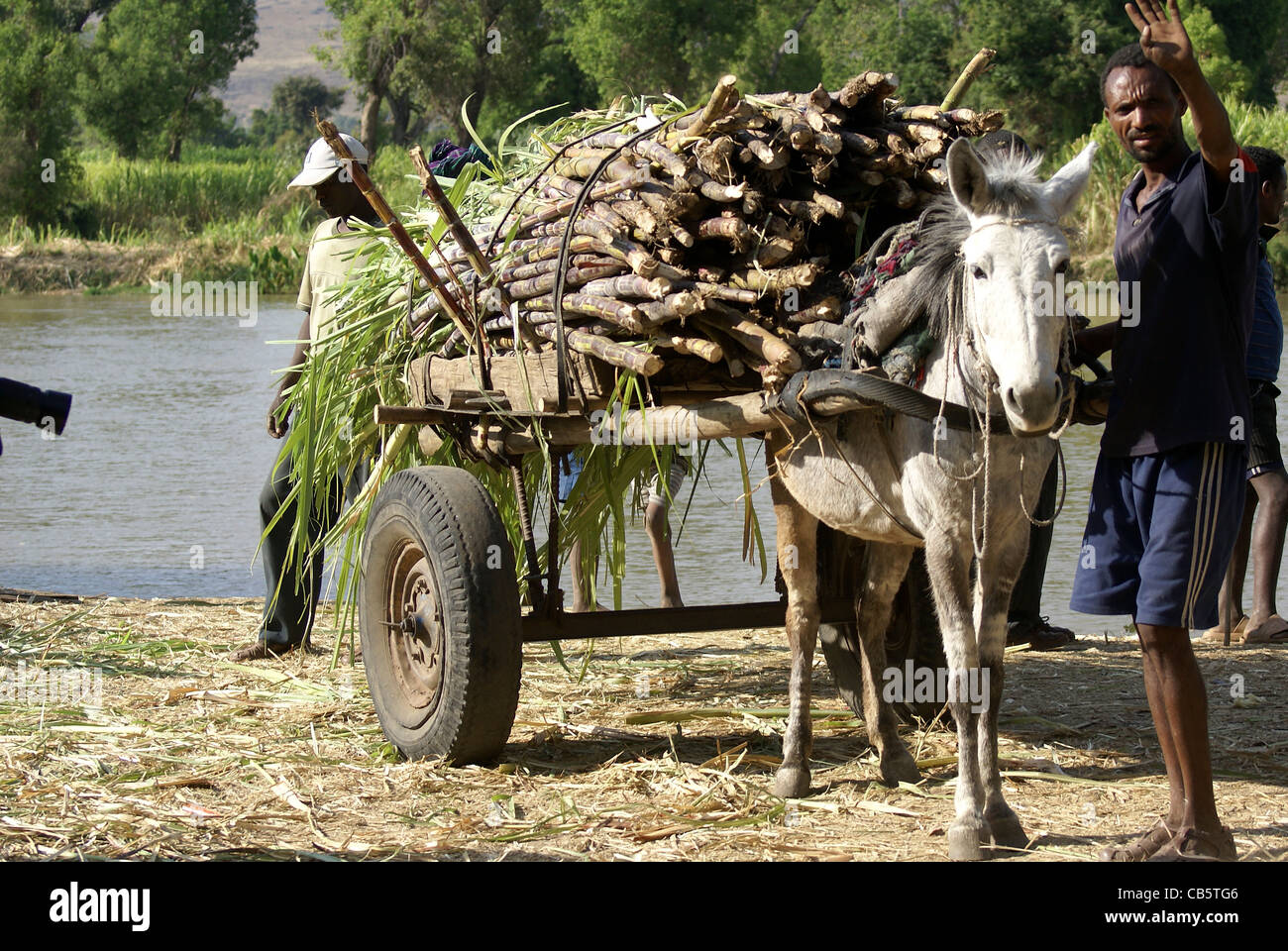 Ethiopia, Amhara Region Donkey pulled cart Stock Photo