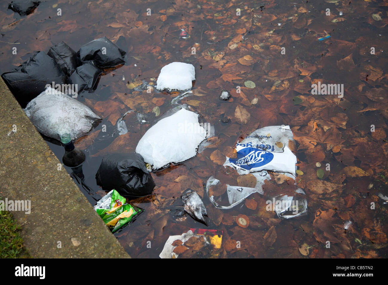Pollution in pond Stock Photo Alamy