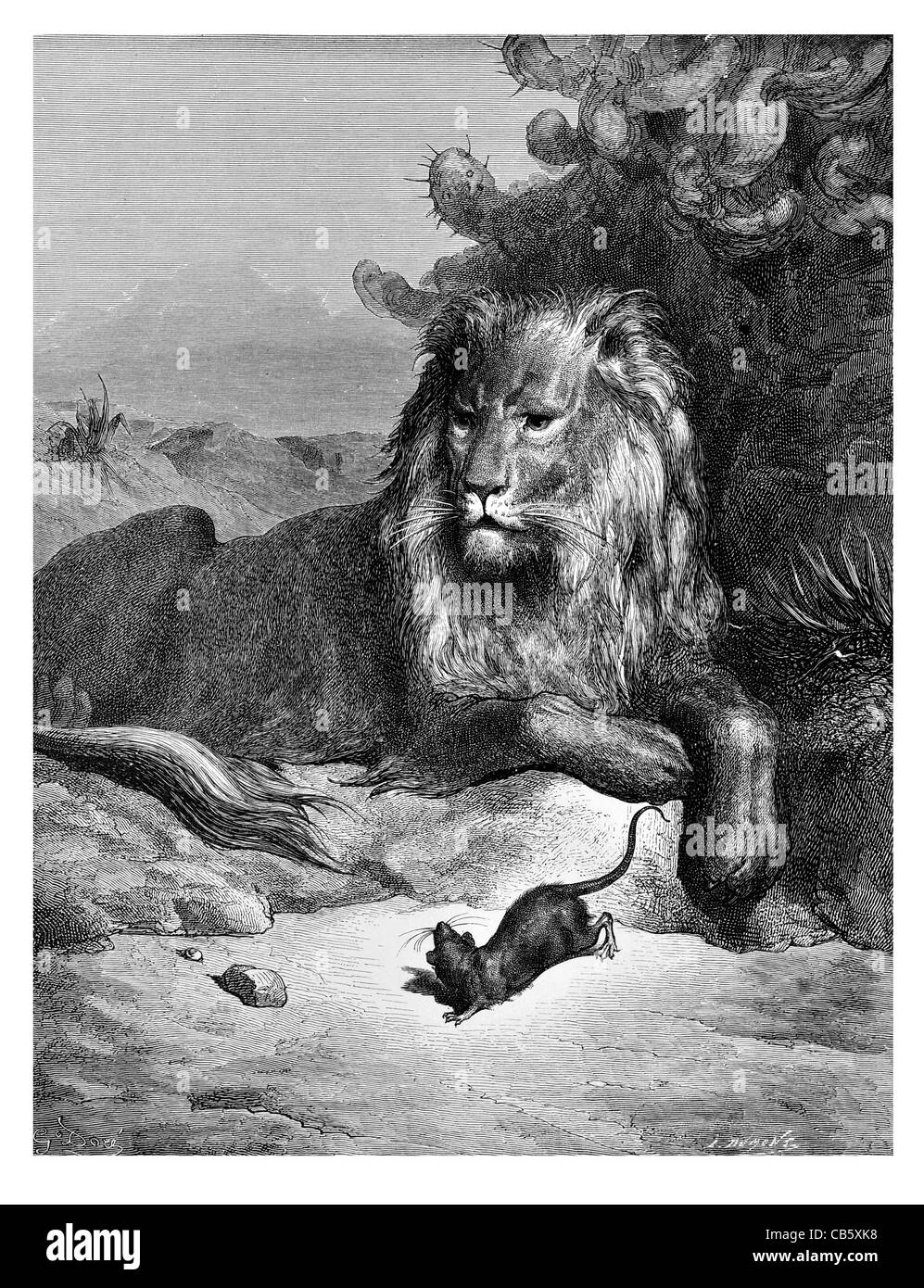 Fontaine Le lion et le rat The Lion and the Rat predator prey king jungle cactus desert sand rodent paw claw whiskers resting Stock Photo