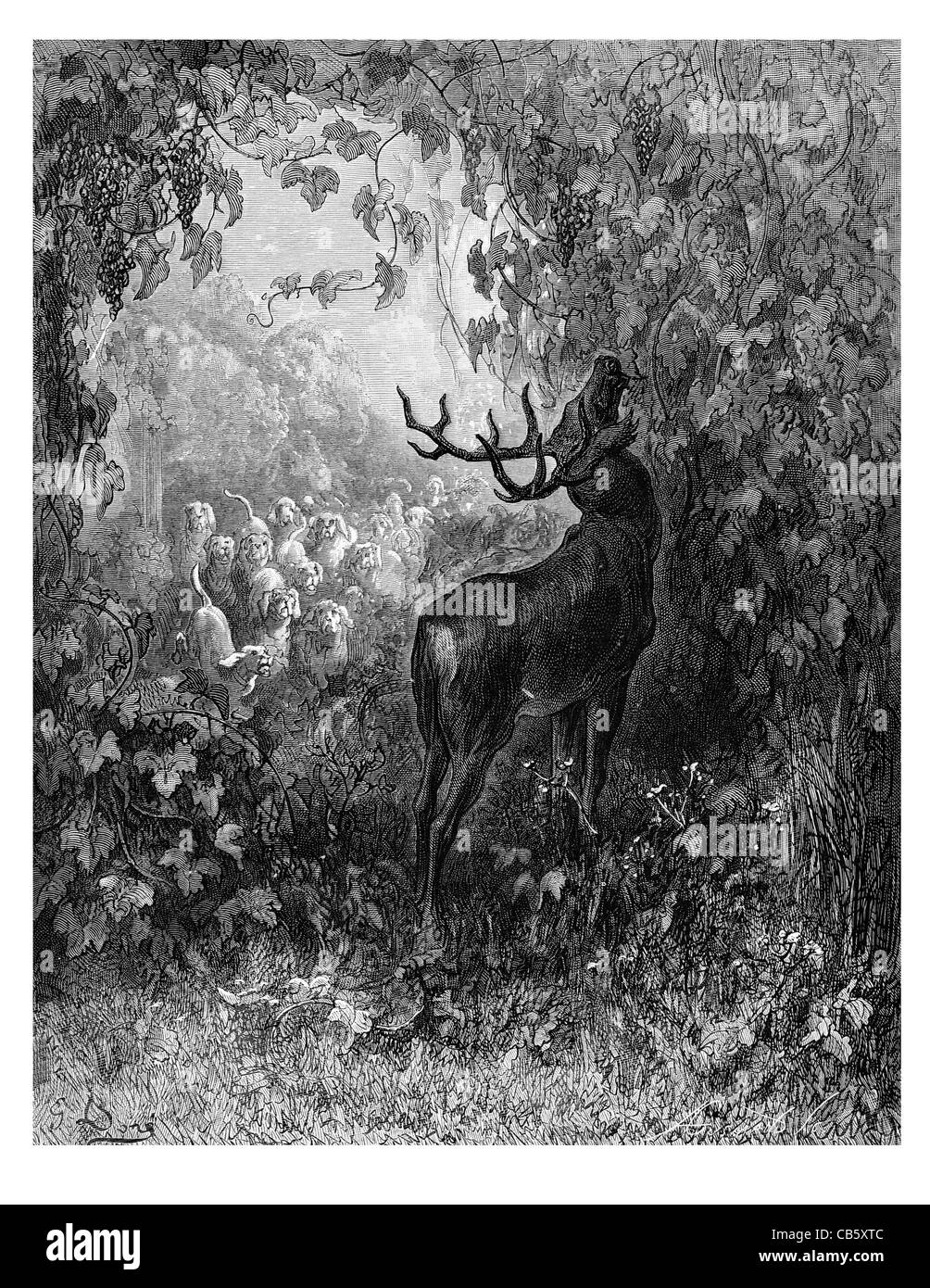 Fontaine Le Cerf et la Vigne deer antler antlers hunting dogs dog blood hound eating grazing grape grapes vinery wine wildlife Stock Photo