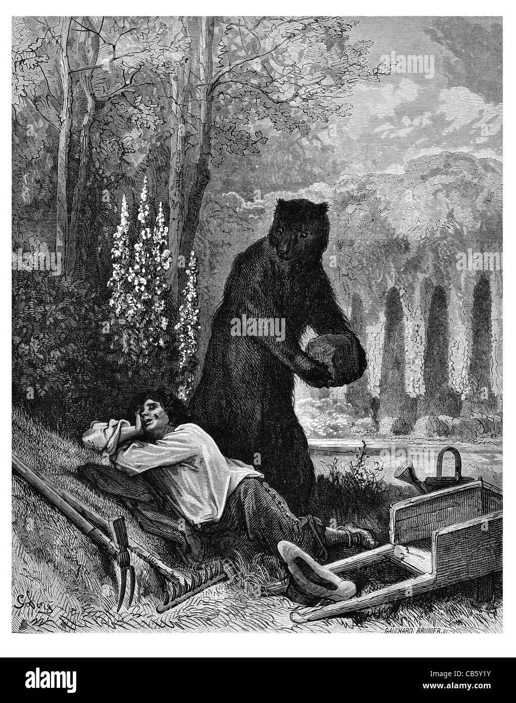 amateur ein link tragen