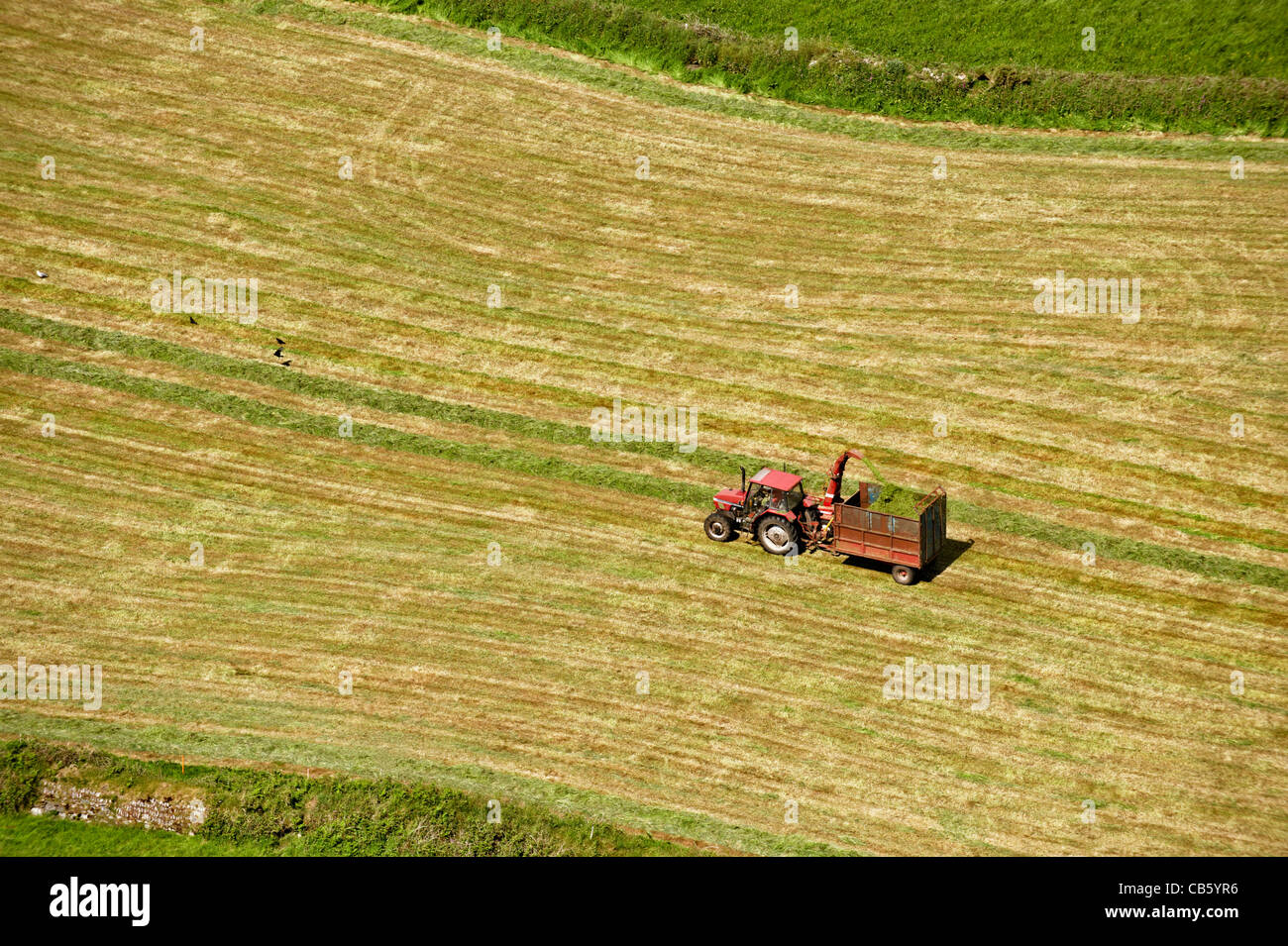 Farming and agriculture Stock Photo