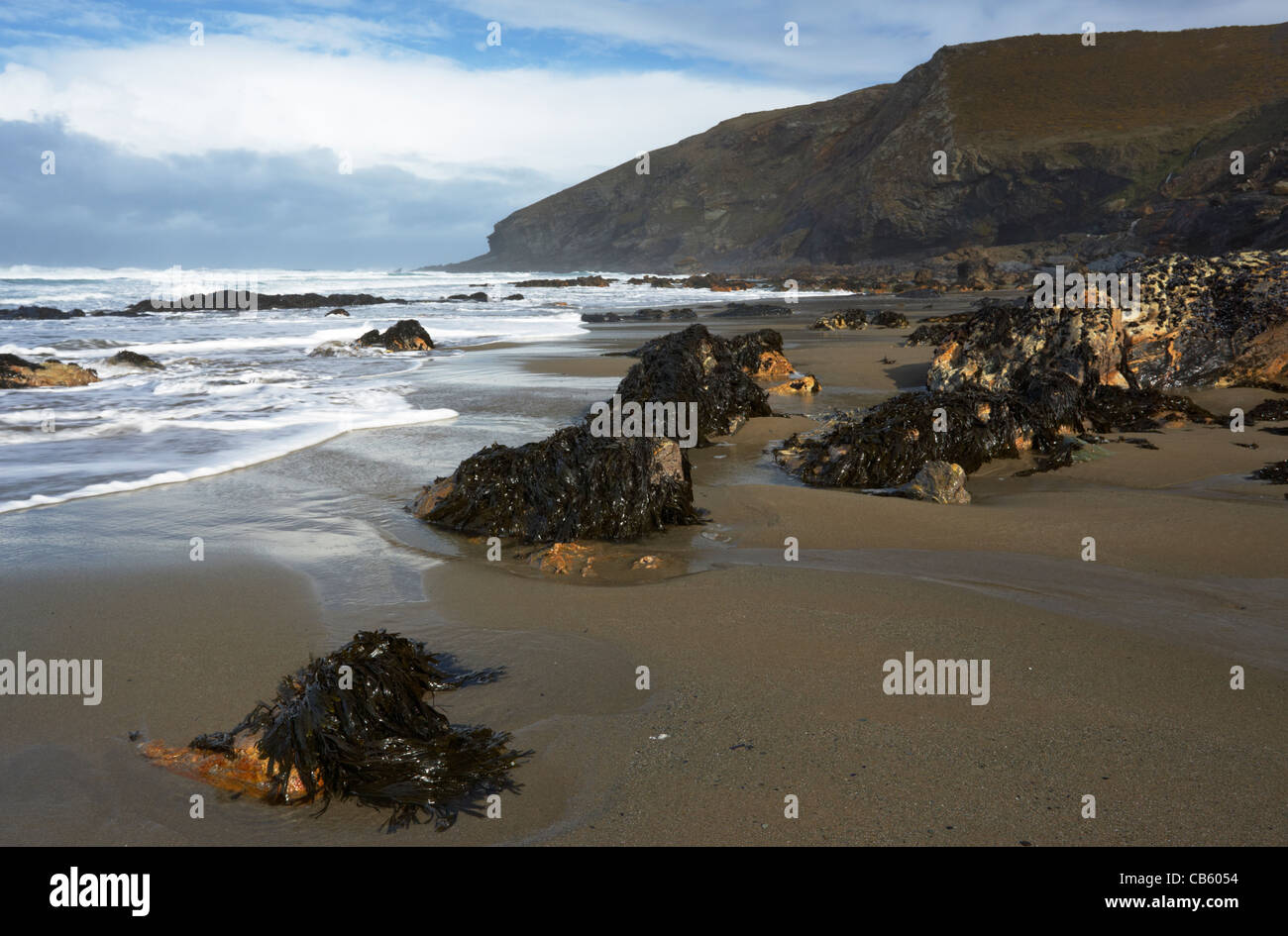 A windy morning at Tregardock beach on the North Cornwall Coast Stock Photo