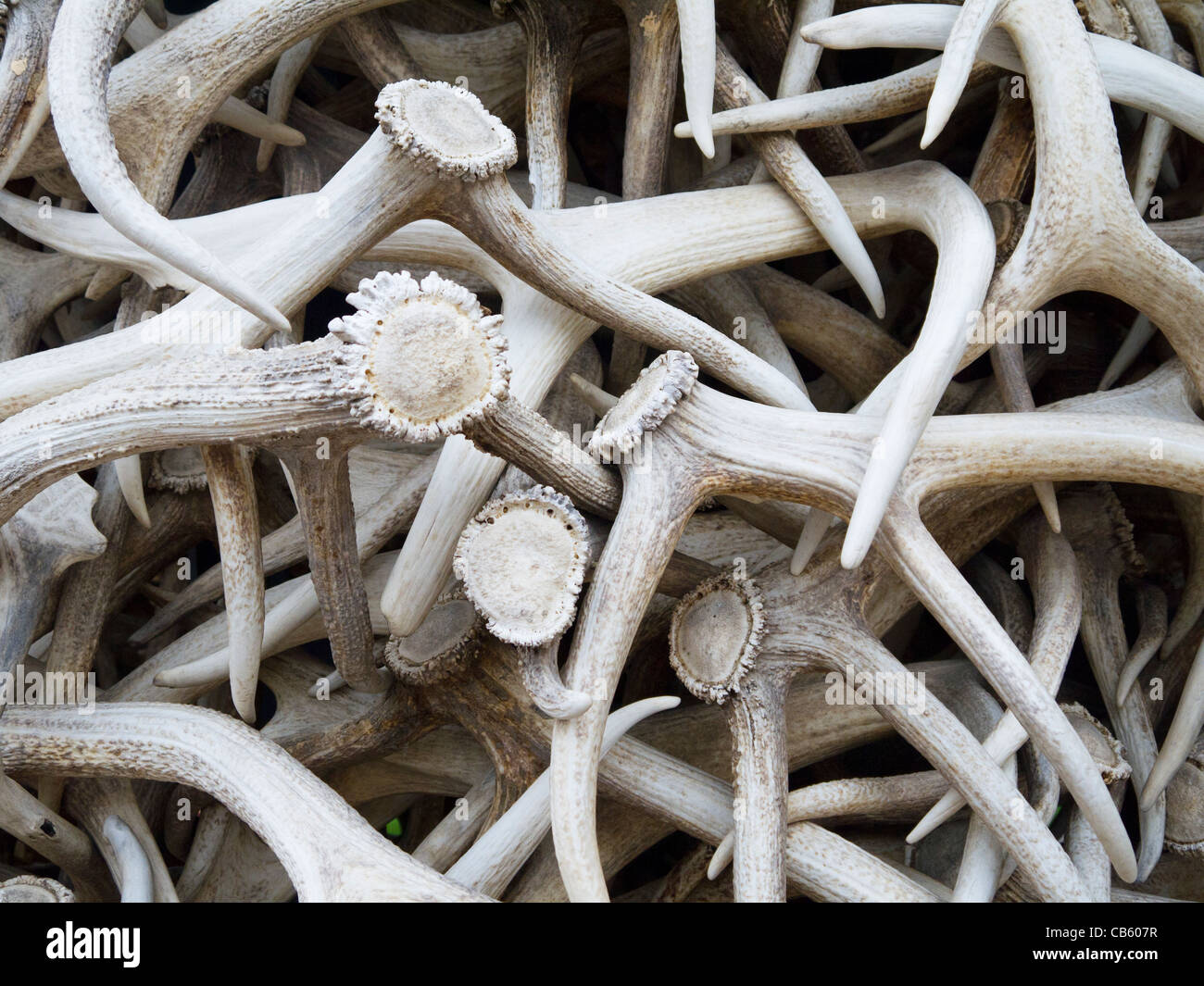 Elk Antler sculptured arch in Jackson Hole Wyoming USA Stock Photo Alamy