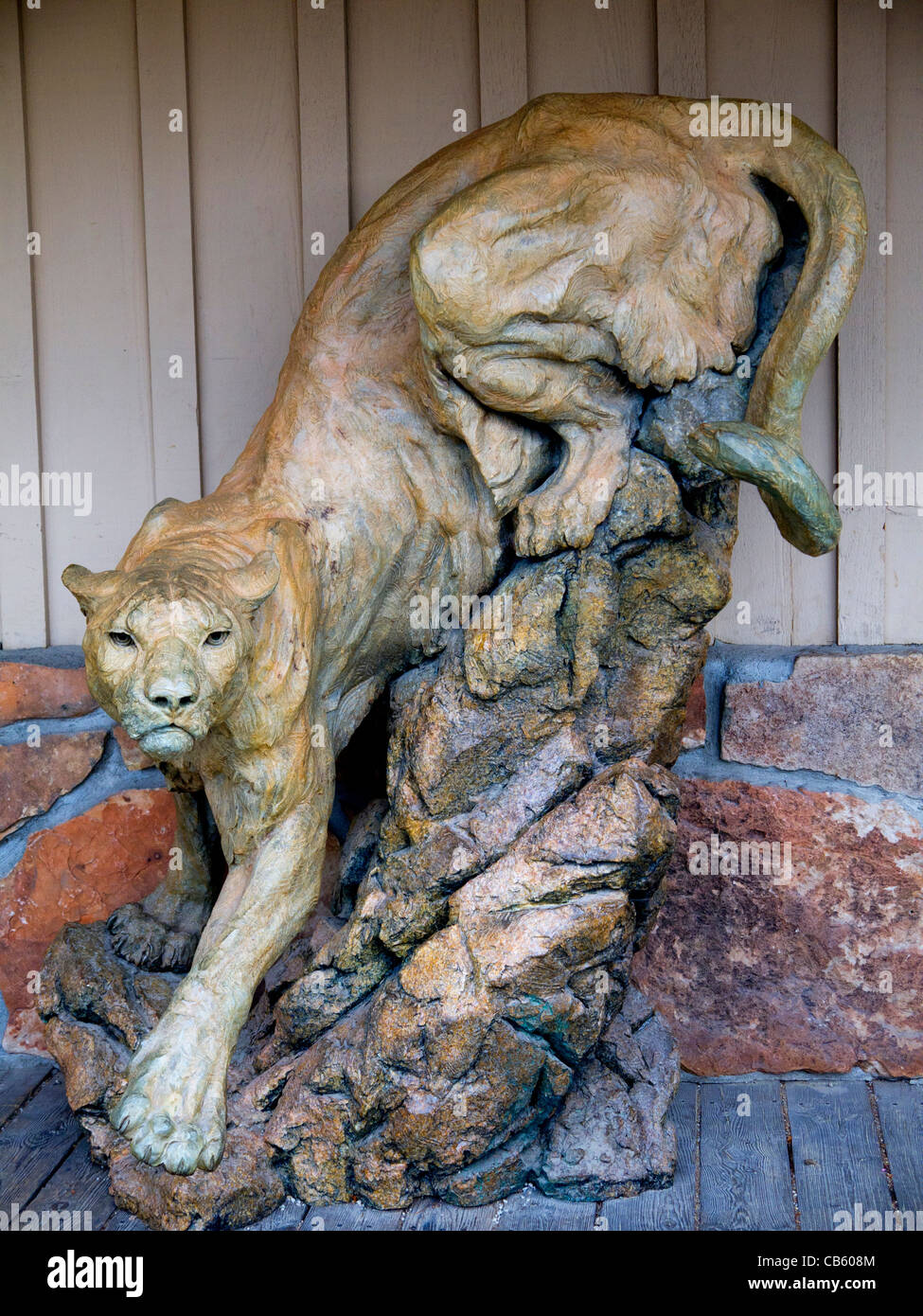 Mountain Lion or Puma Statue in Jackson Hole Wyoming USA Stock Photo - Alamy