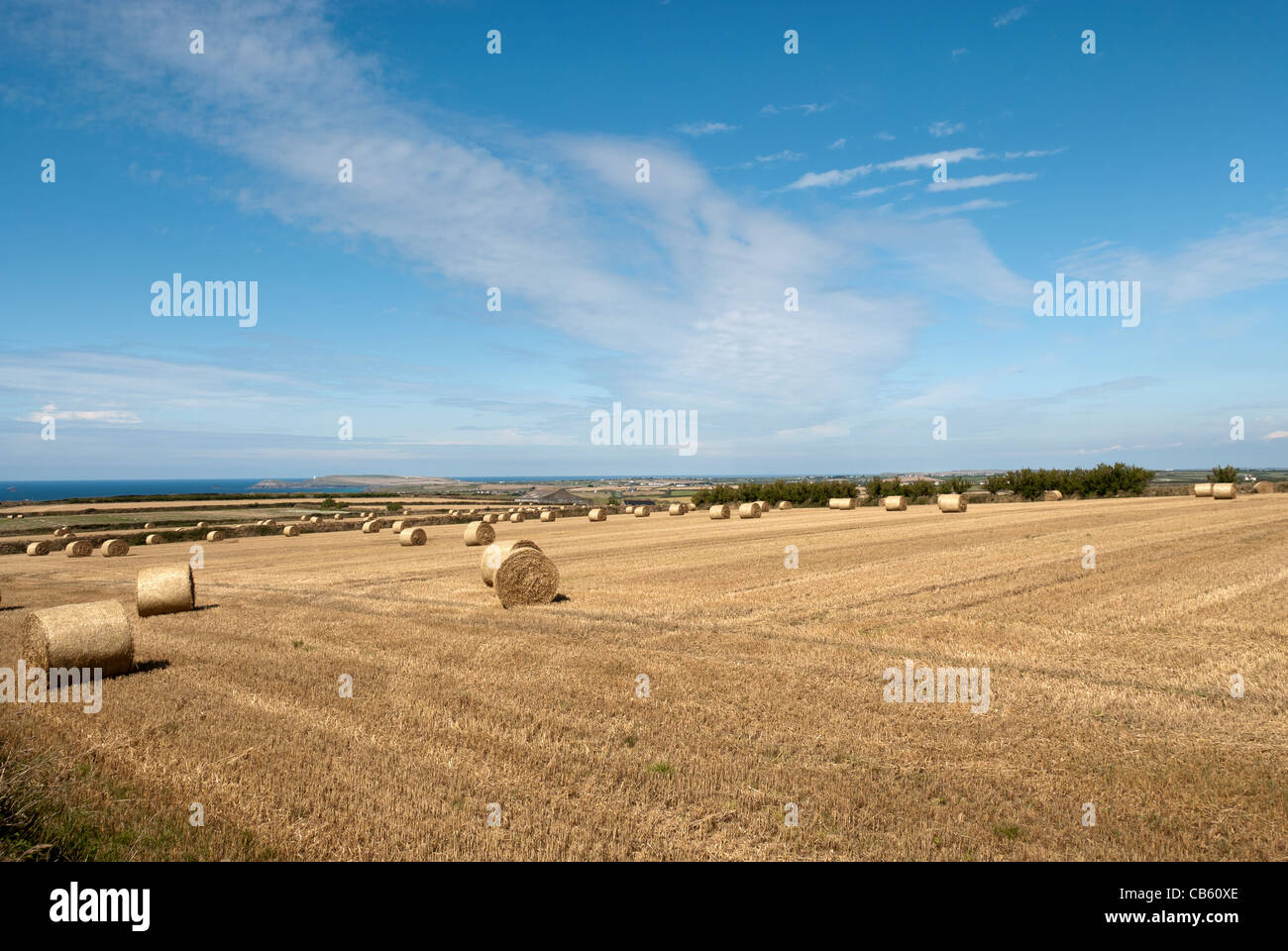 bales of hay in Newquay in Cornwall Stock Photo - Alamy