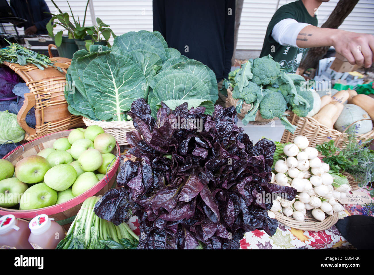 Red leaf romaine lettuce and other produce at a framers' market in the