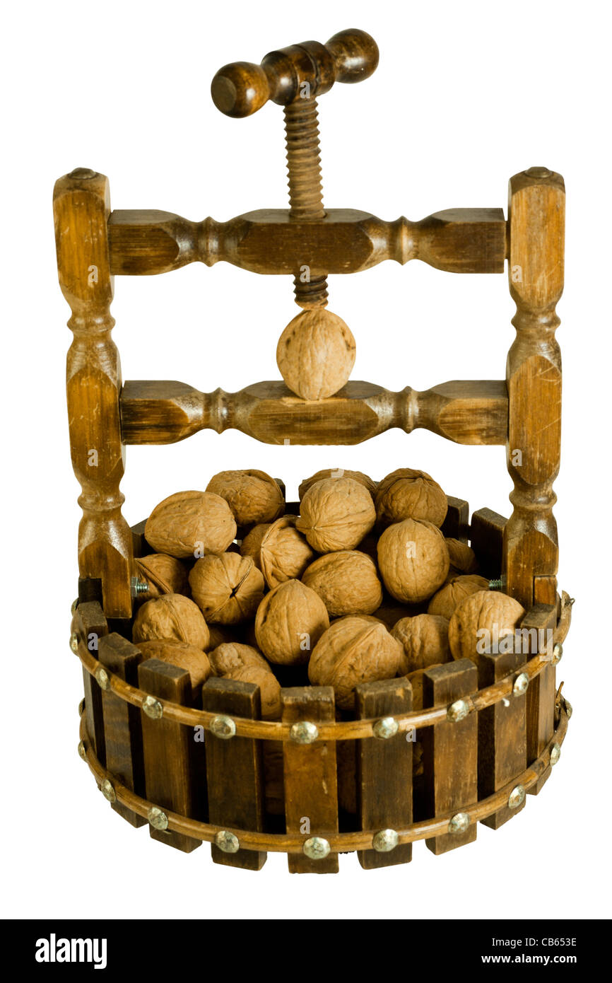 Cut out on a white background of an antique nut cracker about to crack