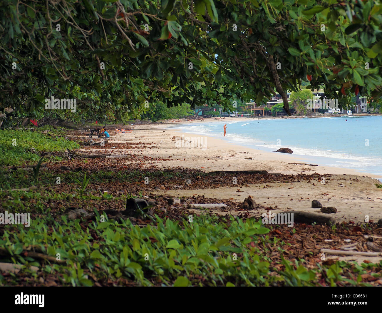 Beach in the national park of Cahuita, Caribbean, Costa Rica Stock Photo