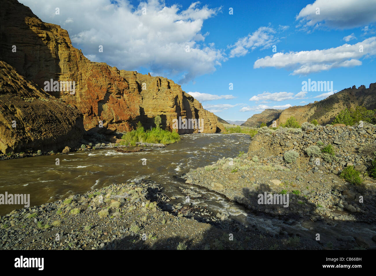 Shoshone River on a Sunny Day Stock Photo