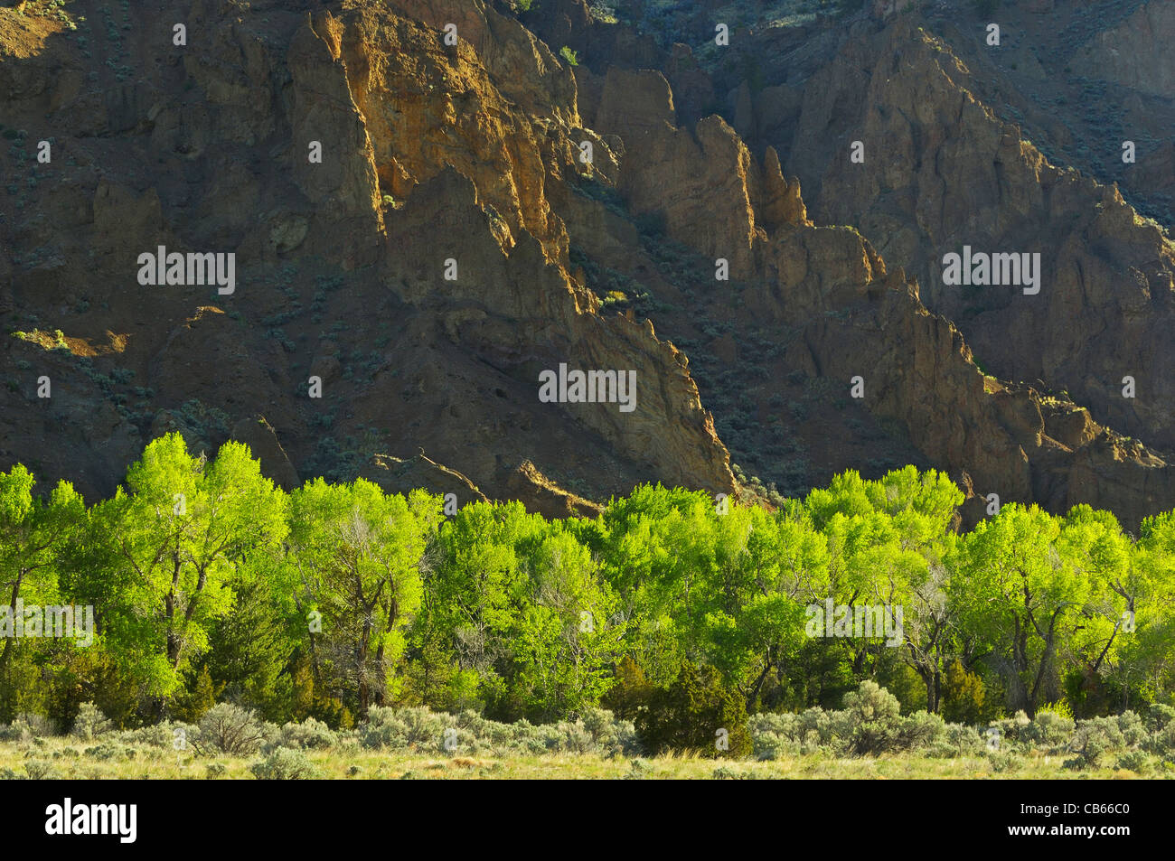 Rugged Shoshone Mountains at Dawn Stock Photo