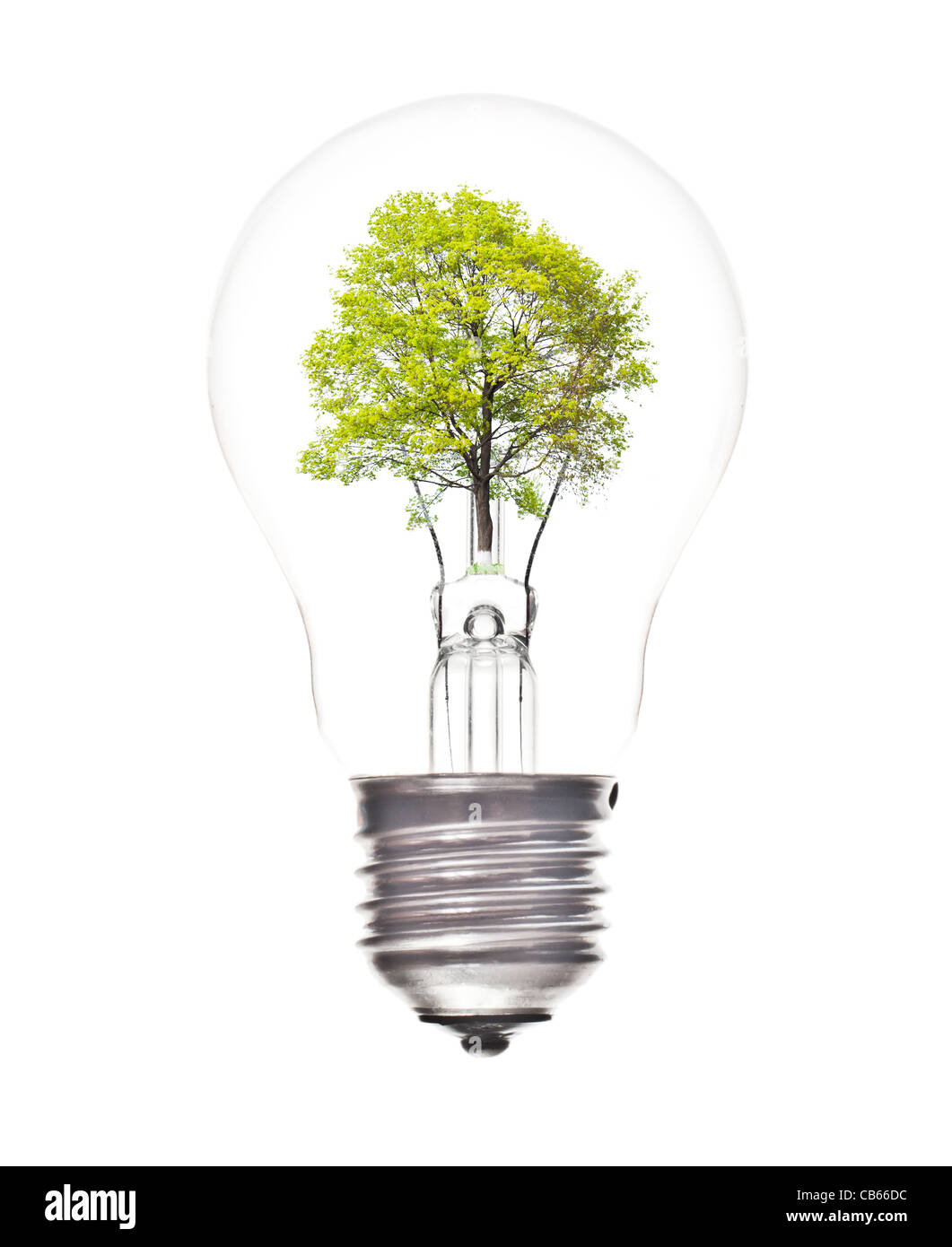 Bulb light with green tree inside isolated on white background Stock ...
