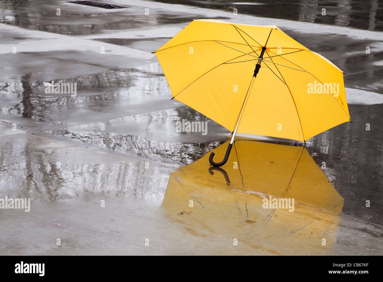 yellow umbrella Stock Photo