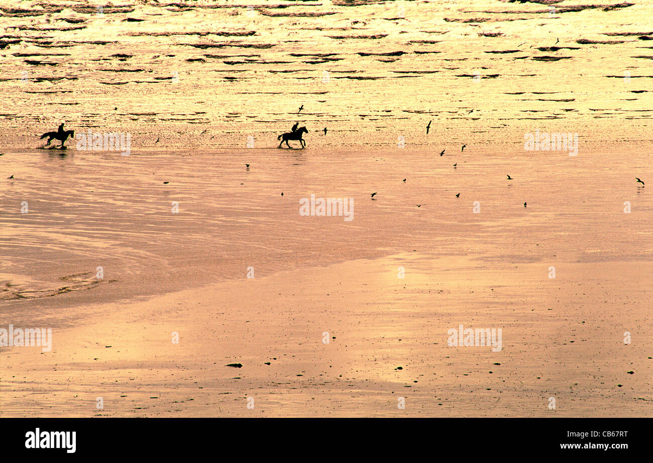 Pendine sands horse hi-res stock photography and images - Alamy