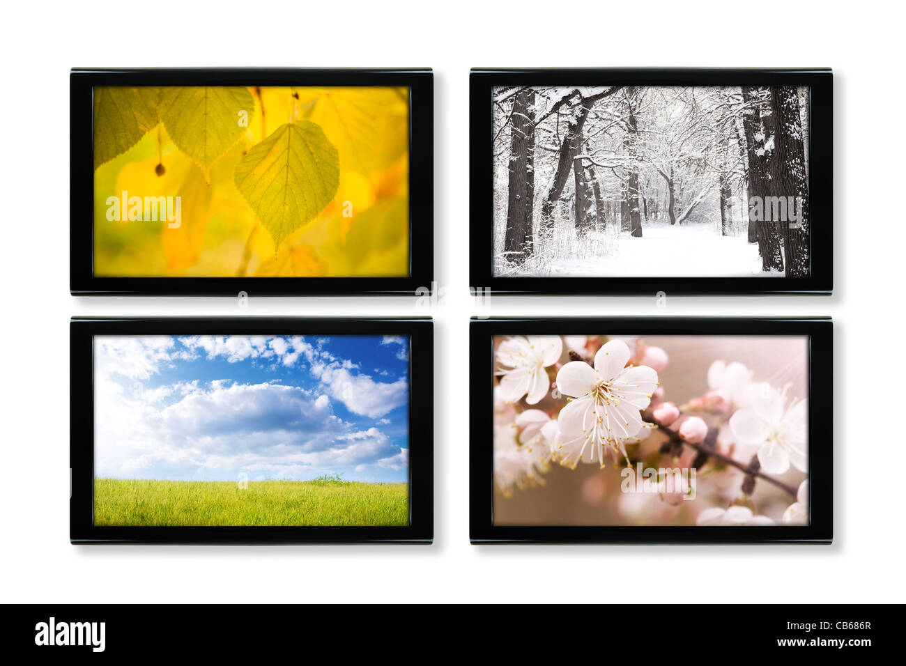 Summer spring autumn winter Cut Out Stock Images & Pictures - Alamy