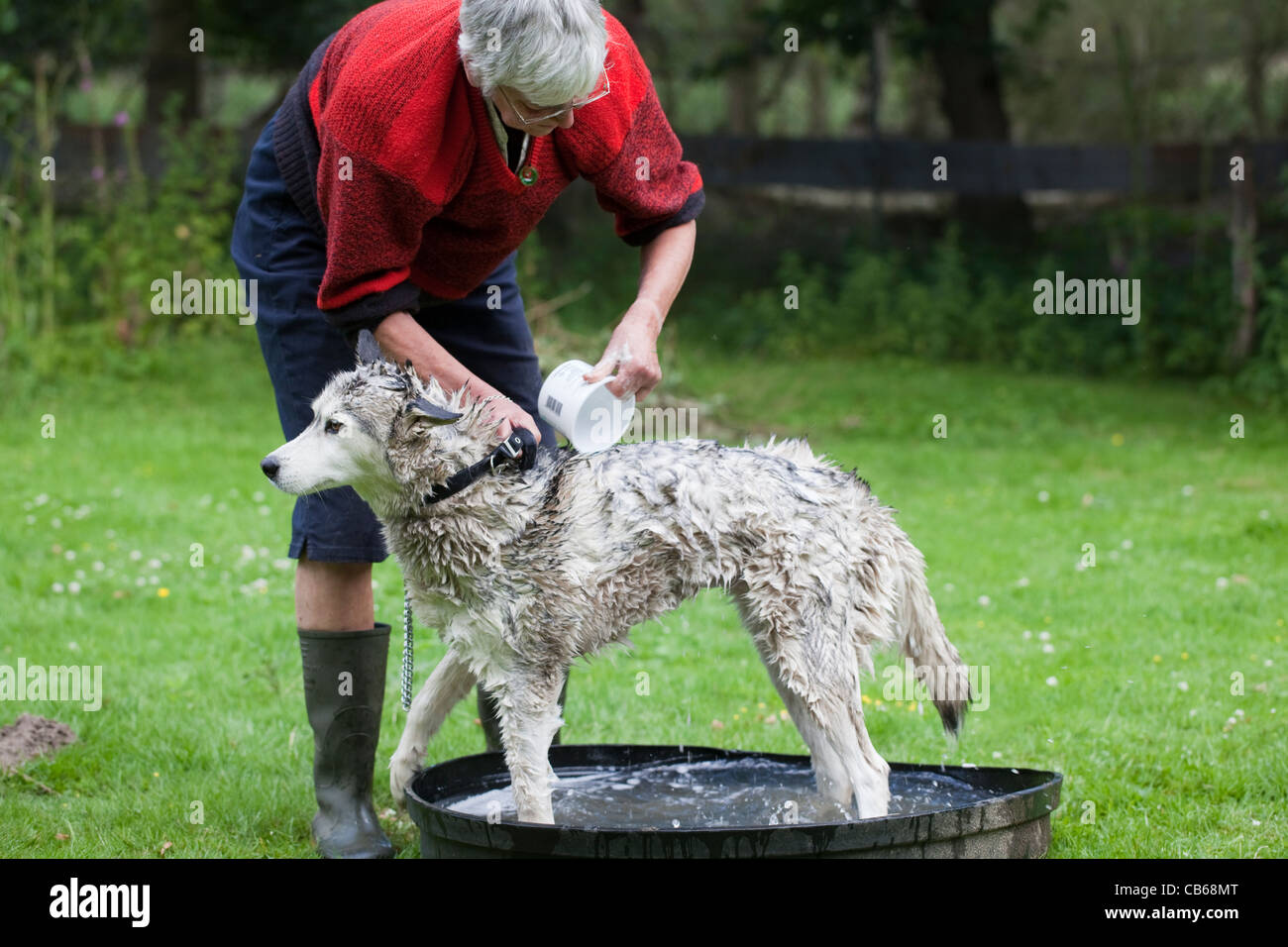 How Much Can You Bathe A Husky