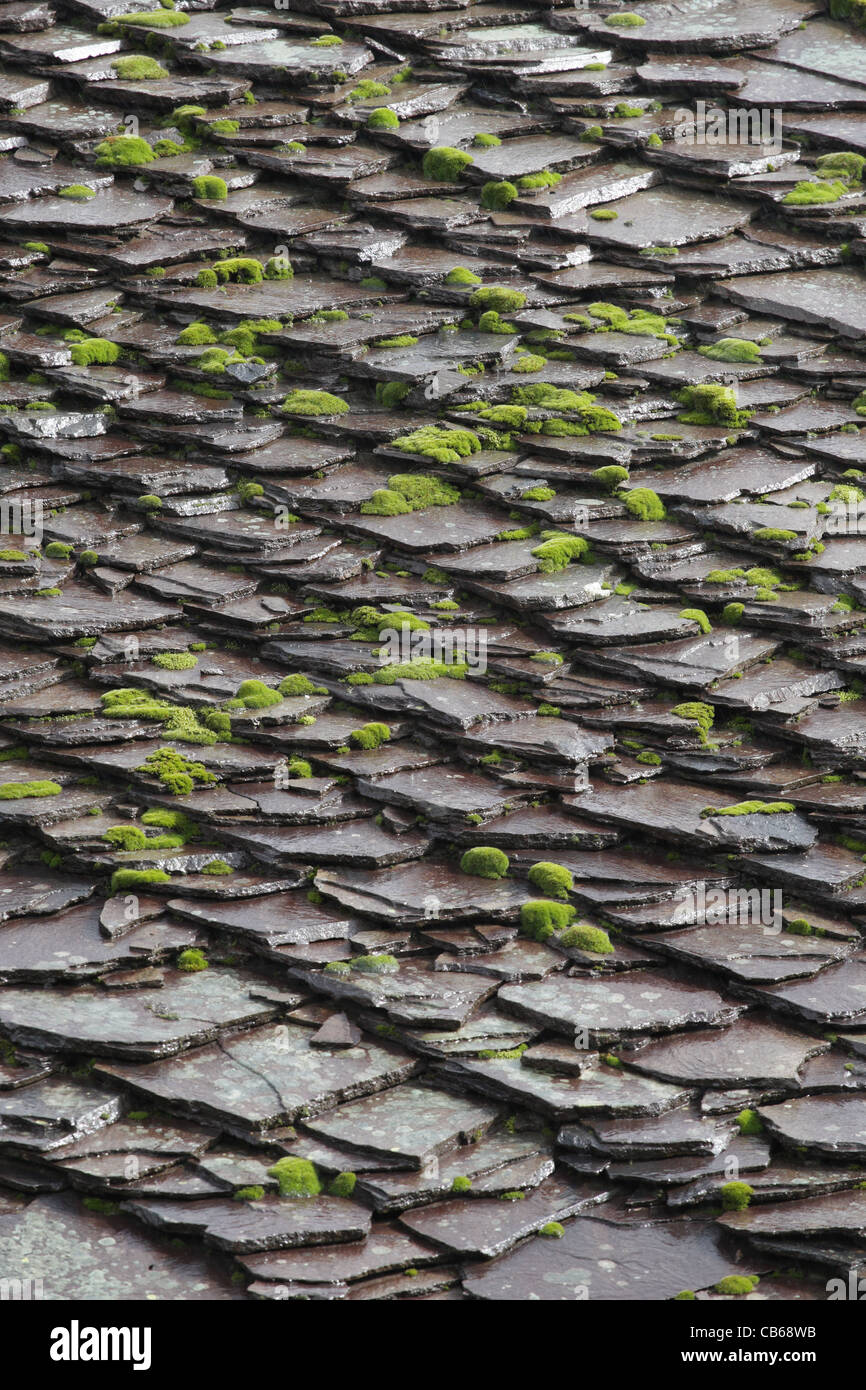 Slate roof. Stone tiles with moss and lichens on roof. Traditional architecture in Bulgaria. Stock Photo