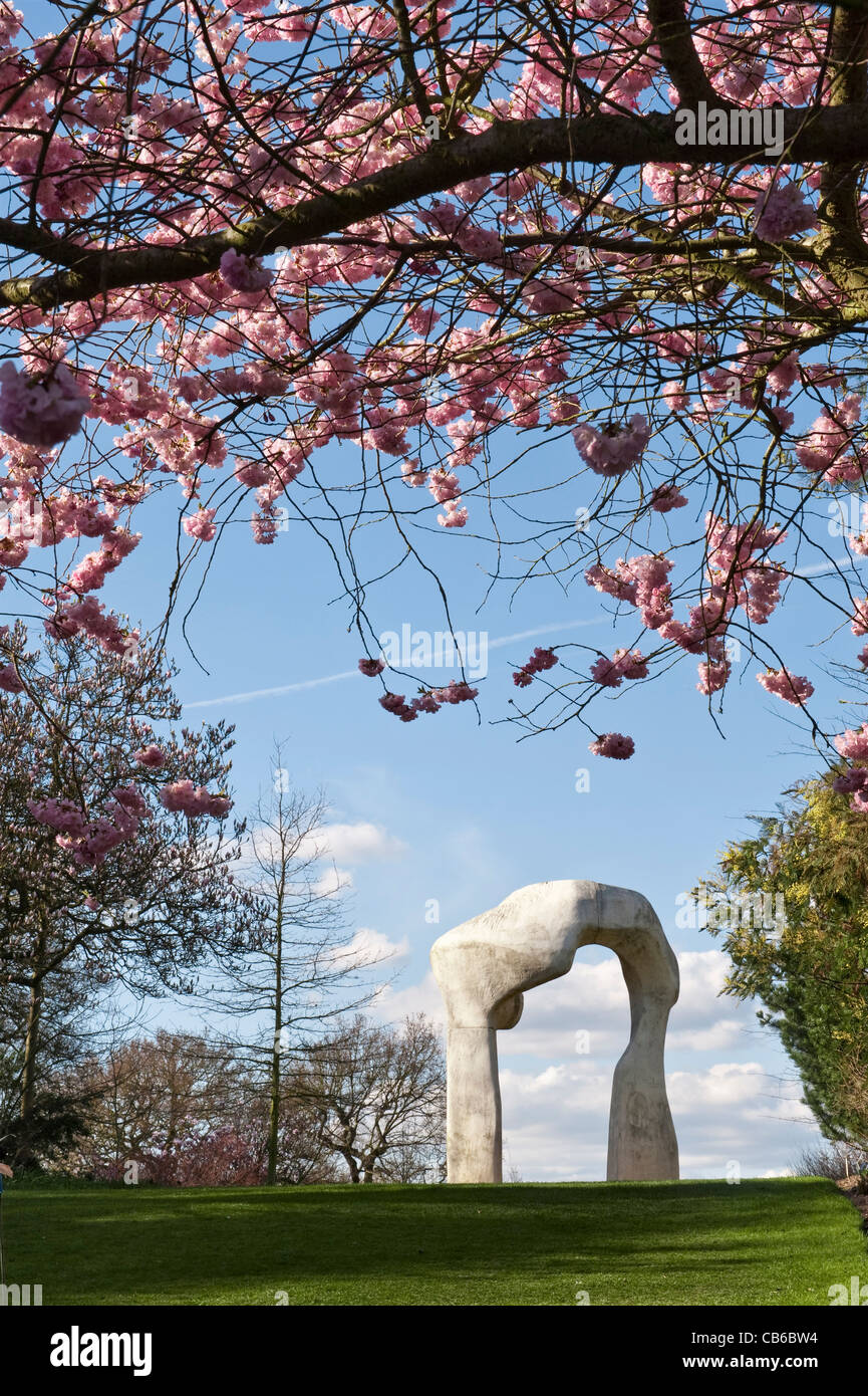 'Arch' by Henry Moore, at RHS Garden Wisley (a fibreglass cast), seen in Spring from beneath a flowering cherry (prunus) Stock Photo