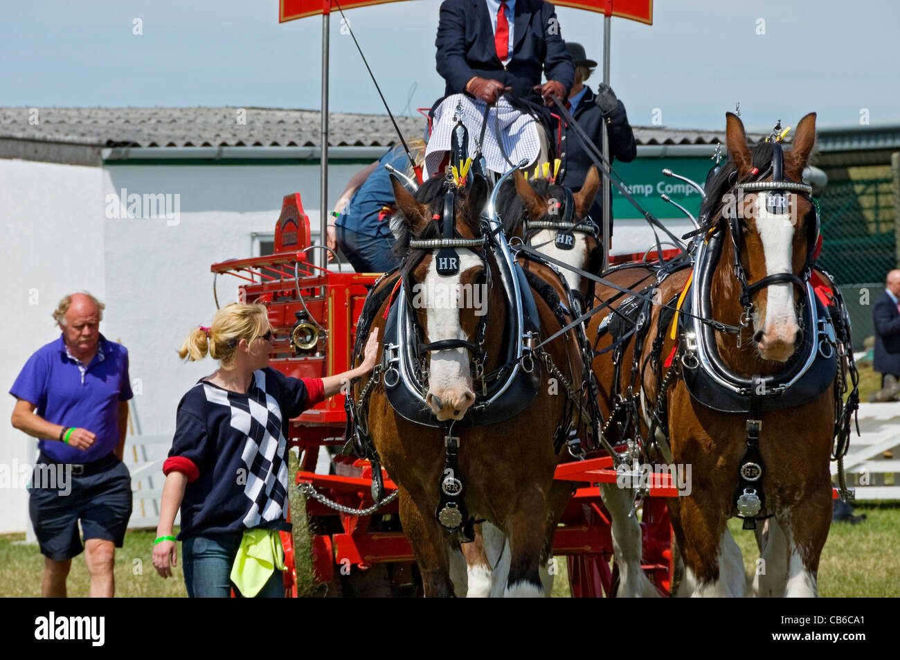 Great yorkshire show heavy horses hires stock photography and images