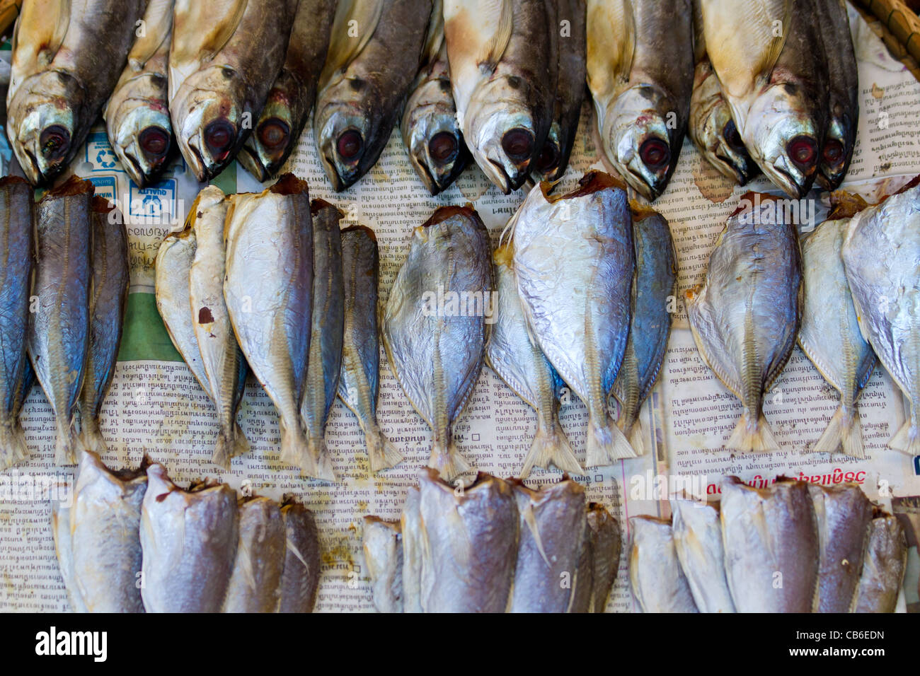 Dried Fishes on a Fishmarket in Thailand Stock Photo