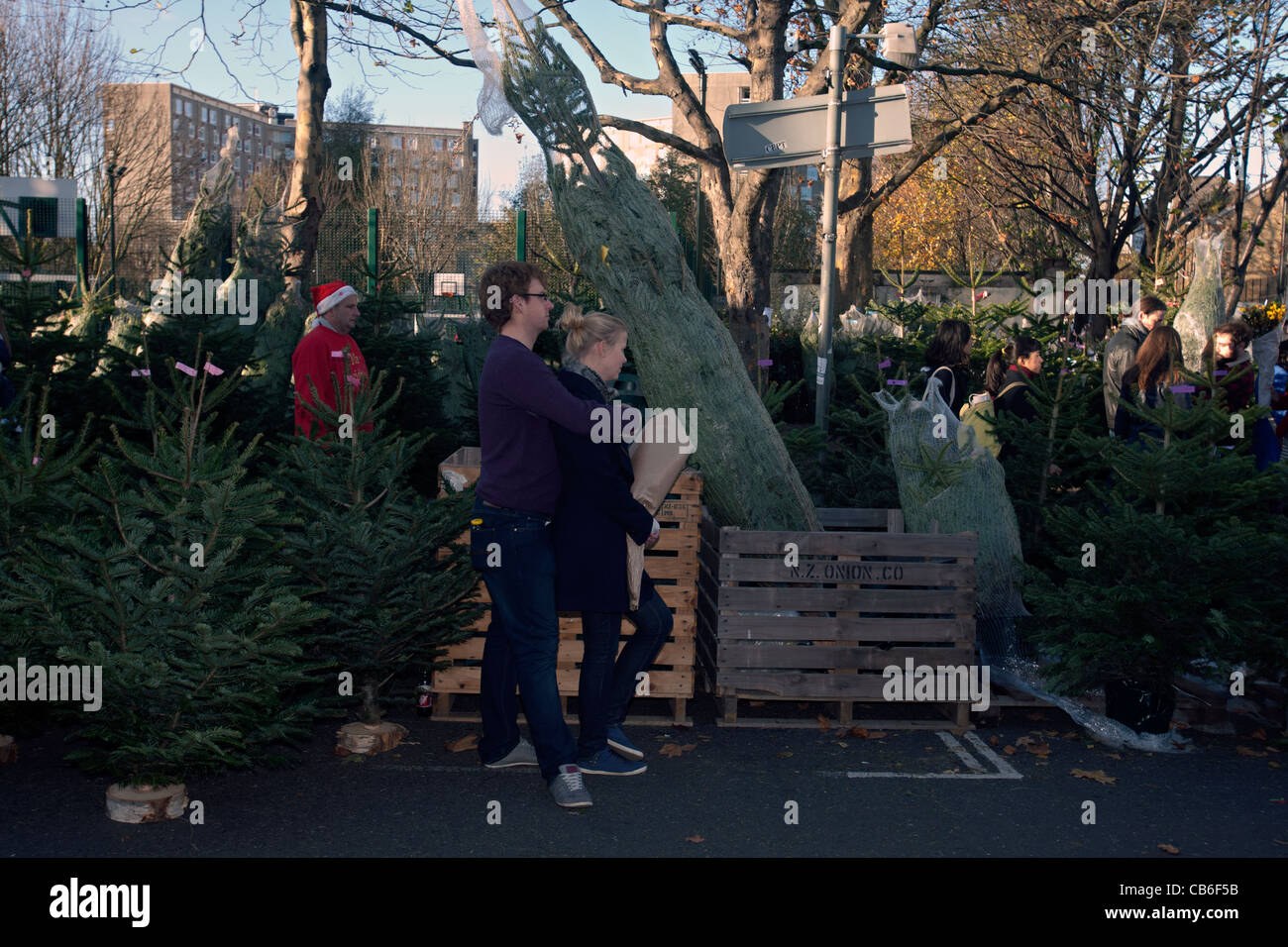 columbia road flower market christmas trees Stock Photo